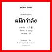 ผนึกกำลัง ภาษาจีนคืออะไร, คำศัพท์ภาษาไทย - จีน ผนึกกำลัง ภาษาจีน （力量 คำอ่าน [lì liang] หมายเหตุ 0)