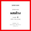 ผสมโรง ภาษาจีนคืออะไร, คำศัพท์ภาษาไทย - จีน ผสมโรง ภาษาจีน 凑热闹 คำอ่าน [còu rè nào]