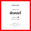 ผักสปอร์ ภาษาจีนคืออะไร, คำศัพท์ภาษาไทย - จีน ผักสปอร์ ภาษาจีน 子囊 คำอ่าน [zǐ náng]