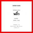 พลิ้ว ภาษาจีนคืออะไร, คำศัพท์ภาษาไทย - จีน พลิ้ว ภาษาจีน 误 คำอ่าน [wù]