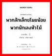 พวกลักเล็กขโมยน้อย พวกนักเลงหัวไม้ ภาษาจีนคืออะไร, คำศัพท์ภาษาไทย - จีน พวกลักเล็กขโมยน้อย พวกนักเลงหัวไม้ ภาษาจีน 瘪三 คำอ่าน [biē sān]