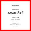 ภาพสะเก็ตช์ ภาษาจีนคืออะไร, คำศัพท์ภาษาไทย - จีน ภาพสะเก็ตช์ ภาษาจีน 素描 คำอ่าน [sù miáo]