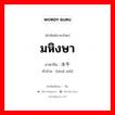 มหิงษา ภาษาจีนคืออะไร, คำศัพท์ภาษาไทย - จีน มหิงษา ภาษาจีน 水牛 คำอ่าน [shuǐ niǘ]