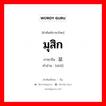 มุสิก ภาษาจีนคืออะไร, คำศัพท์ภาษาไทย - จีน มุสิก ภาษาจีน 鼠 คำอ่าน [shǔ]