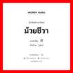 ม้วยชีวา ภาษาจีนคืออะไร, คำศัพท์ภาษาไทย - จีน ม้วยชีวา ภาษาจีน 尽 คำอ่าน [jìn]