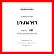 ยางพารา ภาษาจีนคืออะไร, คำศัพท์ภาษาไทย - จีน ยางพารา ภาษาจีน 橡胶树 คำอ่าน [xiàng jiāo shù]