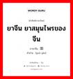 ยาจีน ยาสมุนไพรของจีน ภาษาจีนคืออะไร, คำศัพท์ภาษาไทย - จีน ยาจีน ยาสมุนไพรของจีน ภาษาจีน 国药 คำอ่าน [guó yào]