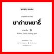 ยาถ่ายพยาธิ์ ภาษาจีนคืออะไร, คำศัพท์ภาษาไทย - จีน ยาถ่ายพยาธิ์ ภาษาจีน 杀虫药 คำอ่าน [shā chóng yào]