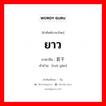 ยาว ภาษาจีนคืออะไร, คำศัพท์ภาษาไทย - จีน ยาว ภาษาจีน 若干 คำอ่าน [ruò gān]