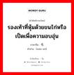 รองเท้าที่หุ้มด้วยขนไก่หรือเป็ดเพื่อความอบอุ่น ภาษาจีนคืออะไร, คำศัพท์ภาษาไทย - จีน รองเท้าที่หุ้มด้วยขนไก่หรือเป็ดเพื่อความอบอุ่น ภาษาจีน 毛窝 คำอ่าน [máo wō]