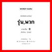 รุ่น,พวก ภาษาจีนคืออะไร, คำศัพท์ภาษาไทย - จีน รุ่น,พวก ภาษาจีน 曹 คำอ่าน [cáo]