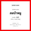 ลมบ้าหมู ภาษาจีนคืออะไร, คำศัพท์ภาษาไทย - จีน ลมบ้าหมู ภาษาจีน 旋风 คำอ่าน [xuàn fēng]