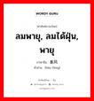 ลมพายุ, ลมได้ฝุ่น, พายุ ภาษาจีนคืออะไร, คำศัพท์ภาษาไทย - จีน ลมพายุ, ลมได้ฝุ่น, พายุ ภาษาจีน 暴风 คำอ่าน [bào fēng]