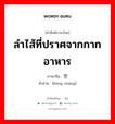 空肠 ภาษาไทย?, คำศัพท์ภาษาไทย - จีน 空肠 ภาษาจีน ลำไส้ที่ปราศจากกากอาหาร คำอ่าน [kōng cháng]