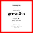 ลูกกระเดือก ภาษาจีนคืออะไร, คำศัพท์ภาษาไทย - จีน ลูกกระเดือก ภาษาจีน 喉结 คำอ่าน [hóu jié]