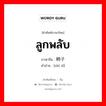 ลูกพลับ ภาษาจีนคืออะไร, คำศัพท์ภาษาไทย - จีน ลูกพลับ ภาษาจีน 柿子 คำอ่าน [shì zǐ]