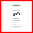 ลูกวัว ภาษาจีนคืออะไร, คำศัพท์ภาษาไทย - จีน ลูกวัว ภาษาจีน 犊 คำอ่าน [dú]