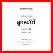 ลูกสะใภ้ ภาษาจีนคืออะไร, คำศัพท์ภาษาไทย - จีน ลูกสะใภ้ ภาษาจีน 媳 คำอ่าน [xí]