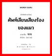 咪咪 ภาษาไทย?, คำศัพท์ภาษาไทย - จีน 咪咪 ภาษาจีน ศัพท์เลียนเสียงร้องของแมว คำอ่าน [mī mī]