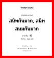 สนิทกันมาก, สนิทสนมกันมาก ภาษาจีนคืออะไร, คำศัพท์ภาษาไทย - จีน สนิทกันมาก, สนิทสนมกันมาก ภาษาจีน 亲昵 คำอ่าน [qīn nì]