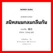 สนิทสนมกลมกลืนกัน ภาษาจีนคืออะไร, คำศัพท์ภาษาไทย - จีน สนิทสนมกลมกลืนกัน ภาษาจีน 融洽 คำอ่าน [róng qià]