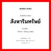 สังหาริมทรัพย์ ภาษาจีนคืออะไร, คำศัพท์ภาษาไทย - จีน สังหาริมทรัพย์ ภาษาจีน 动产 คำอ่าน [dòng chǎn]