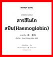 สารฮีโมโกลบิน(haemoglobin) ภาษาจีนคืออะไร, คำศัพท์ภาษาไทย - จีน สารฮีโมโกลบิน(haemoglobin) ภาษาจีน 血红蛋白 คำอ่าน [xuè hóng dàn bái]