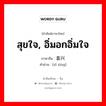 สุขใจ, อิ่มอกอิ่มใจ ภาษาจีนคืออะไร, คำศัพท์ภาษาไทย - จีน สุขใจ, อิ่มอกอิ่มใจ ภาษาจีน 喜兴 คำอ่าน [xǐ xīng]