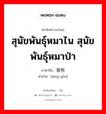 สุนัขพันธุ์หมาไน สุนัขพันธุ์หมาป่า ภาษาจีนคืออะไร, คำศัพท์ภาษาไทย - จีน สุนัขพันธุ์หมาไน สุนัขพันธุ์หมาป่า ภาษาจีน 狼狗 คำอ่าน [láng gǒu]