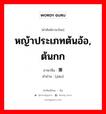 หญ้าประเภทต้นอ้อ, ต้นกก ภาษาจีนคืออะไร, คำศัพท์ภาษาไทย - จีน หญ้าประเภทต้นอ้อ, ต้นกก ภาษาจีน 蒹 คำอ่าน [jiān]