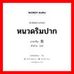 หนวดริมปาก ภาษาจีนคืออะไร, คำศัพท์ภาษาไทย - จีน หนวดริมปาก ภาษาจีน 髭 คำอ่าน [zī]