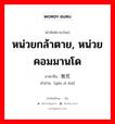 หน่วยกล้าตาย, หน่วยคอมมานโด ภาษาจีนคืออะไร, คำศัพท์ภาษาไทย - จีน หน่วยกล้าตาย, หน่วยคอมมานโด ภาษาจีน 敢死队 คำอ่าน [gǎn sǐ duì]