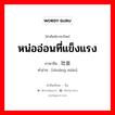 壮苗 ภาษาไทย?, คำศัพท์ภาษาไทย - จีน 壮苗 ภาษาจีน หน่ออ่อนที่แข็งแรง คำอ่าน [zhuàng miáo]