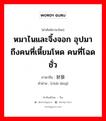 หมาไนและจิ้งจอก อุปมาถึงคนที่เหี้ยมโหด คนที่โฉดชั่ว ภาษาจีนคืออะไร, คำศัพท์ภาษาไทย - จีน หมาไนและจิ้งจอก อุปมาถึงคนที่เหี้ยมโหด คนที่โฉดชั่ว ภาษาจีน 豺狼 คำอ่าน [chái láng]