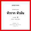 หัวราก หัวมัน ภาษาจีนคืออะไร, คำศัพท์ภาษาไทย - จีน หัวราก หัวมัน ภาษาจีน 块根 คำอ่าน [kuài gēn]