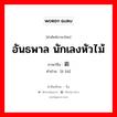 อันธพาล นักเลงหัวไม้ ภาษาจีนคืออะไร, คำศัพท์ภาษาไทย - จีน อันธพาล นักเลงหัวไม้ ภาษาจีน 恶霸 คำอ่าน [è bà]