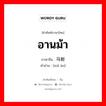 อานม้า ภาษาจีนคืออะไร, คำศัพท์ภาษาไทย - จีน อานม้า ภาษาจีน 马鞍 คำอ่าน [mǎ ān]