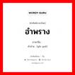 อำพราง ภาษาจีนคืออะไร, คำศัพท์ภาษาไทย - จีน อำพราง ภาษาจีน 隐瞒 คำอ่าน [yǐn yuē]