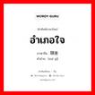 อำเภอใจ ภาษาจีนคืออะไร, คำศัพท์ภาษาไทย - จีน อำเภอใจ ภาษาจีน 随意 คำอ่าน [suí yì]