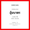 อุ้มบาตร ภาษาจีนคืออะไร, คำศัพท์ภาษาไทย - จีน อุ้มบาตร ภาษาจีน 托钵 คำอ่าน [tuō bō]