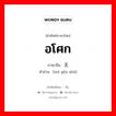 อโศก ภาษาจีนคืออะไร, คำศัพท์ภาษาไทย - จีน อโศก ภาษาจีน 无优树 คำอ่าน [wú yōu shù]