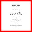 อ่อนเพลีย ภาษาจีนคืออะไร, คำศัพท์ภาษาไทย - จีน อ่อนเพลีย ภาษาจีน 恹恹 คำอ่าน [yān yān]