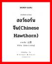 ฮอว์ธอร์นจีน(chinese hawthorn) ภาษาจีนคืออะไร, คำศัพท์ภาษาไทย - จีน ฮอว์ธอร์นจีน(chinese hawthorn) ภาษาจีน 山里红 คำอ่าน [shān li hóng]