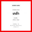 เกล้า ภาษาจีนคืออะไร, คำศัพท์ภาษาไทย - จีน เกล้า ภาษาจีน 头 คำอ่าน [tóu]