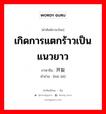 เกิดการแตกร้าวเป็นแนวยาว ภาษาจีนคืออะไร, คำศัพท์ภาษาไทย - จีน เกิดการแตกร้าวเป็นแนวยาว ภาษาจีน 开裂 คำอ่าน [kāi liè]