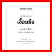 掌心 ภาษาไทย?, คำศัพท์ภาษาไทย - จีน 掌心 ภาษาจีน เงื้อมมือ คำอ่าน [zhǎng xīn]