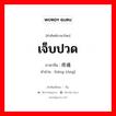 เจ็บปวด ภาษาจีนคืออะไร, คำศัพท์ภาษาไทย - จีน เจ็บปวด ภาษาจีน 疼痛 คำอ่าน [téng tòng]