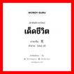 เด็ดชีวิต ภาษาจีนคืออะไร, คำศัพท์ภาษาไทย - จีน เด็ดชีวิต ภาษาจีน 杀死 คำอ่าน [shā sǐ]