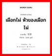 เผือกไผ่ หัวของเผือกไผ่ ภาษาจีนคืออะไร, คำศัพท์ภาษาไทย - จีน เผือกไผ่ หัวของเผือกไผ่ ภาษาจีน 竹芋 คำอ่าน [zhú yú]