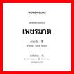 เพชรฆาต ภาษาจีนคืออะไร, คำศัพท์ภาษาไทย - จีน เพชรฆาต ภาษาจีน 杀手 คำอ่าน [shā shǒu]